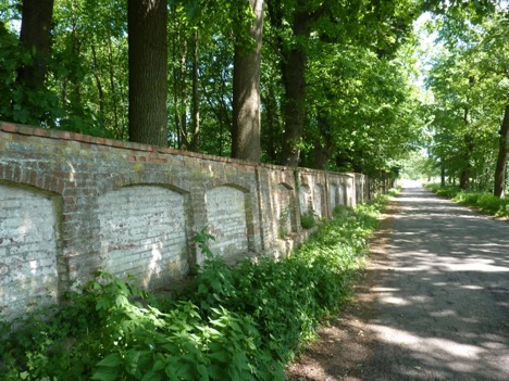 Sigurdshof  wooded lane